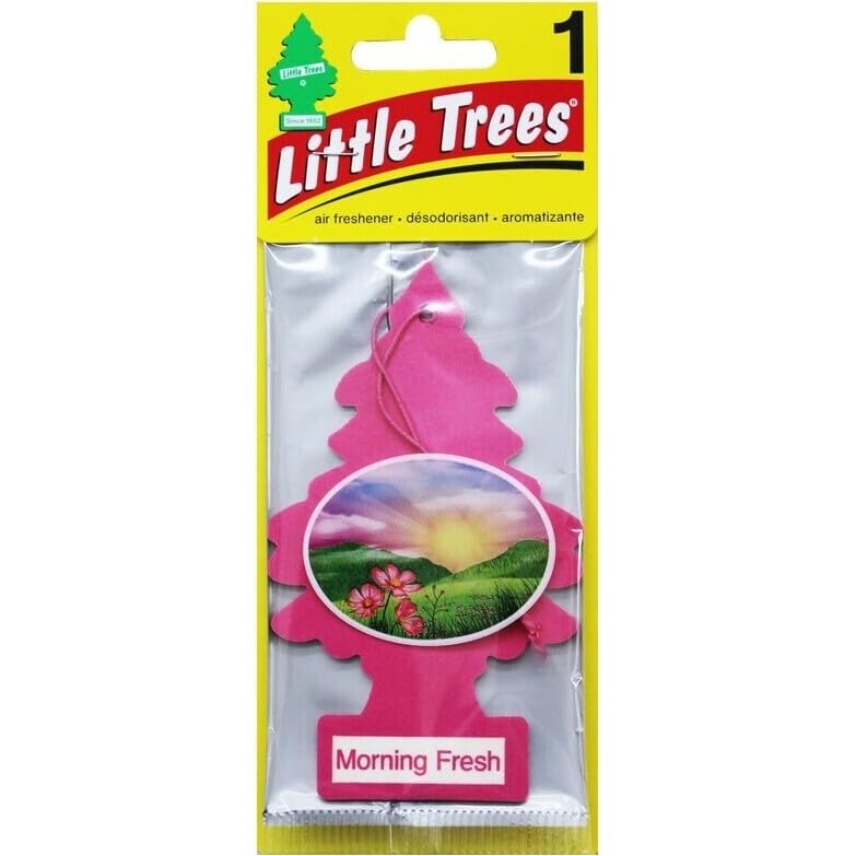 Little Trees Car Air Freshener | Hanging Paper Tree For Home Or Car | Morning Fresh | 24 Pack