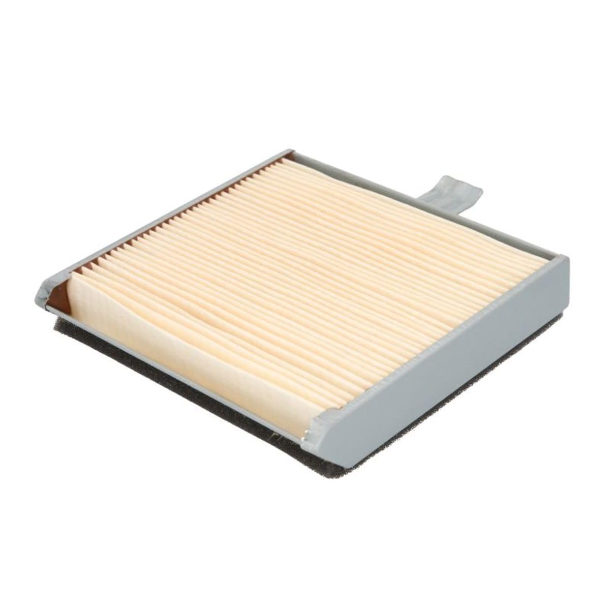 Hiflofiltro Hfa3608 Premium Oem Replacement Air Filter, Single