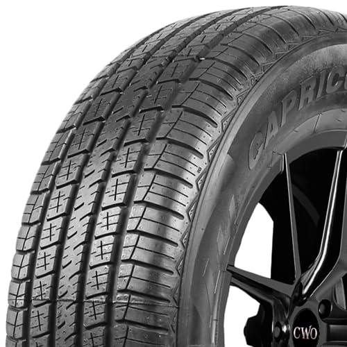 Evoluxx Capricorn 4X4 Hp All-Season Truck/Suv Performance Radial Tire-215/70R16 215/70/16 215/70-16 100H Load Range Sl 4-Ply Bsw