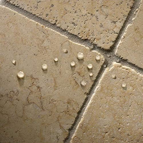 Aqua Mix Sealer'S Choice Gold - Pint