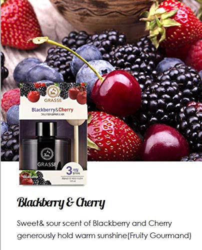 Bullsone Grasse Diffuser - Luxury Car Air Fresheners, Black Berry & Cherry, 3.55 Fl Oz (Pack of 2)