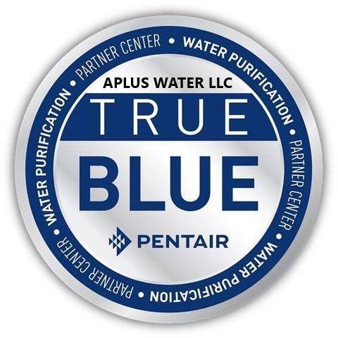 DuraWater Air Injection Iron Eater Filter - Removes Iron, Manganese, H2S - 10X54" - Black - Carbon Model