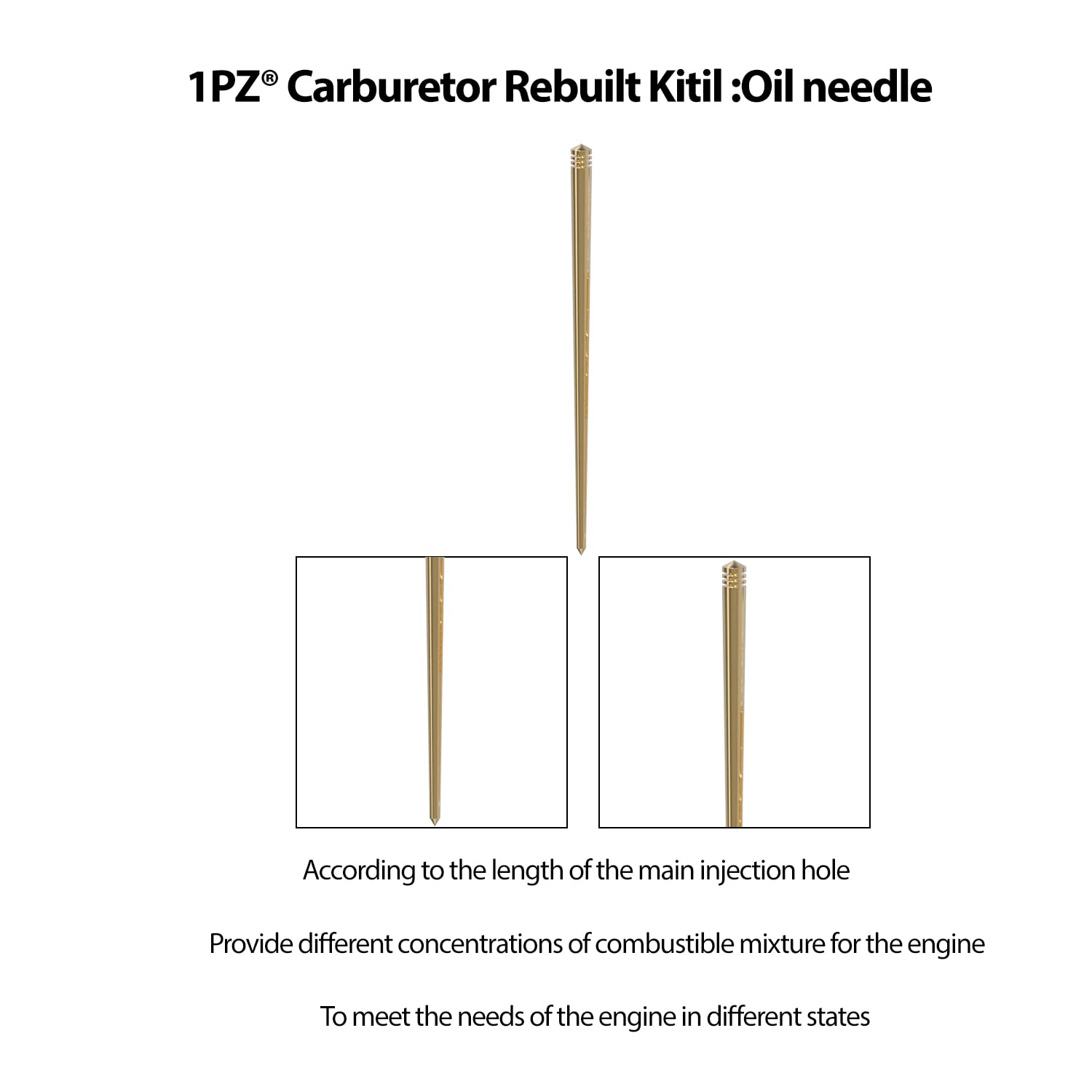 1PZ Carburetor Rebuild Kit for Honda Recon TRX 250 TRX250ES TRX250EX TRX250TE TRX250TM 1997-2005