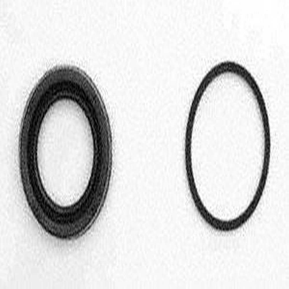 Raybestos Premium Element3 Replacement Rear Disc Brake Caliper Seal Kit For Select Chevrolet Corvette, Ford Mustang Model Years 