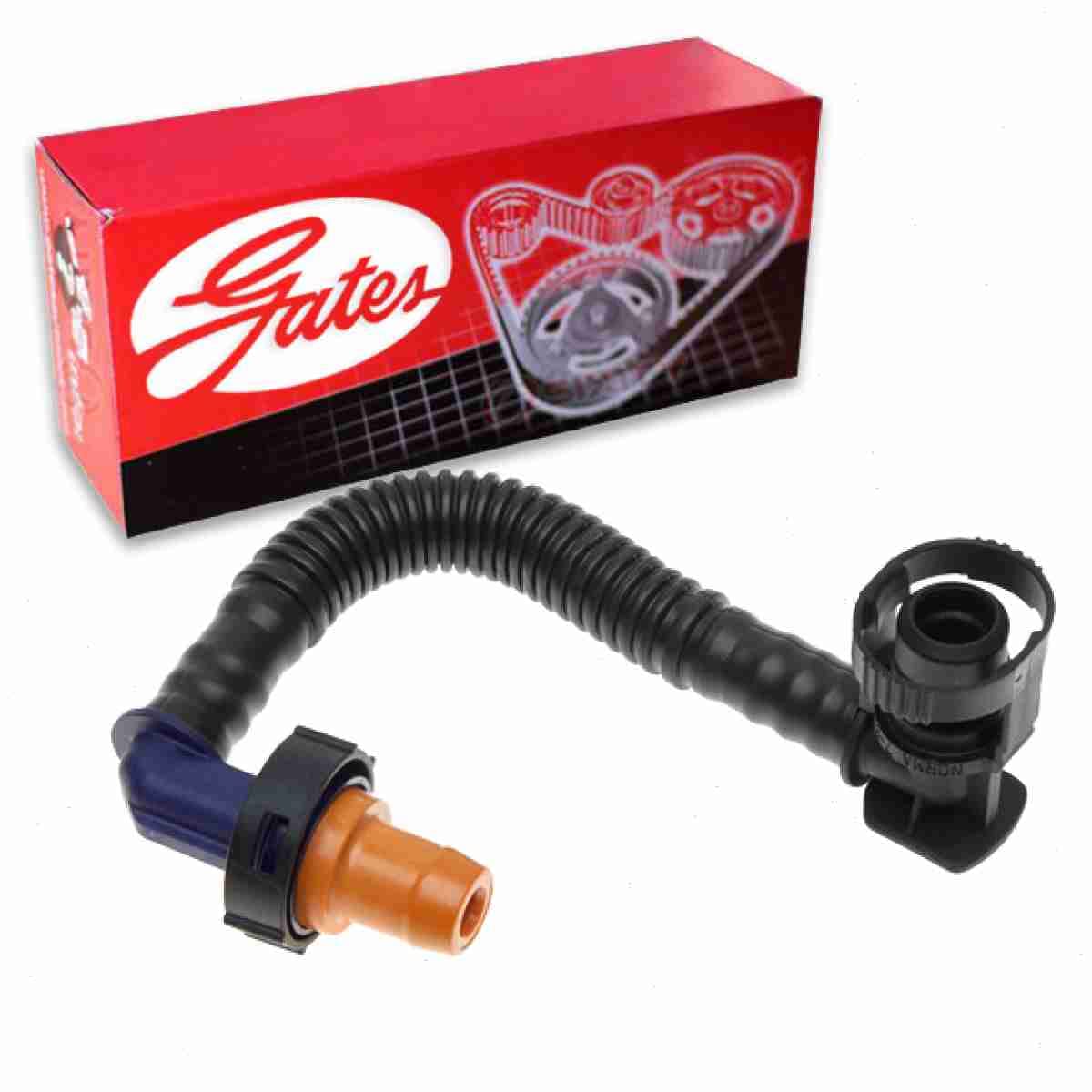 Gates PCV Valve To Intake Engine Crankcase Breather Hose compatible with Ford Focus 2.0L L4 2008-2011