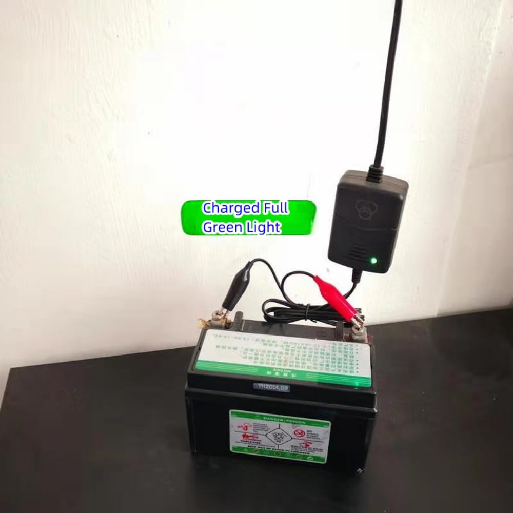 Zeglavi 12V 1300Ma Sealed Lead Acid (Sla) Battery Charger With Short Circuit Protection