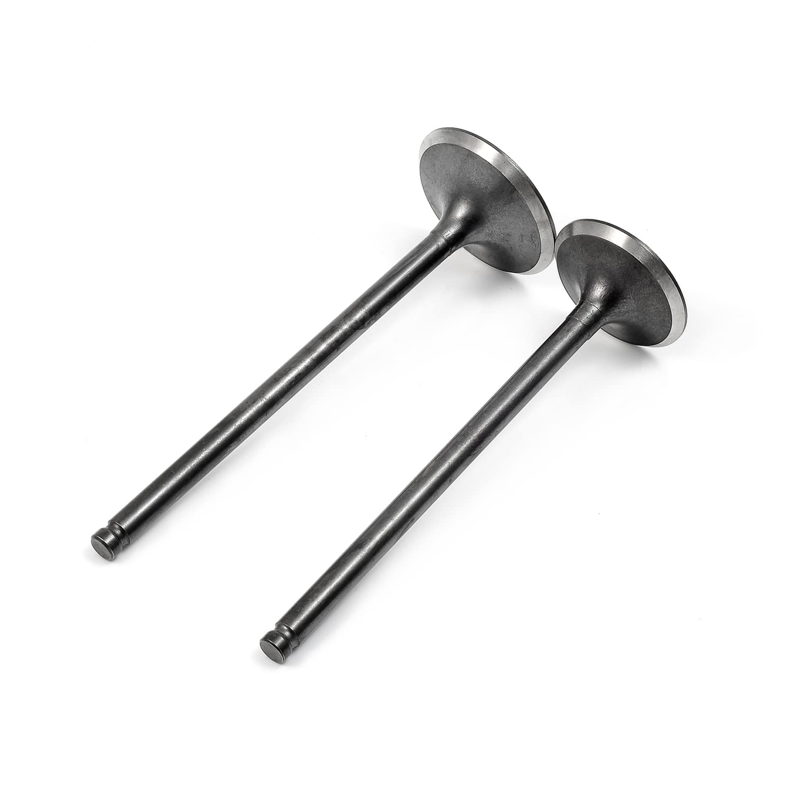 Intake Exhaust Valve Seal Spring Kit For Honda Trx400Ex Trx400X Xr400R 400Ex 400X 2X4 1999-2014