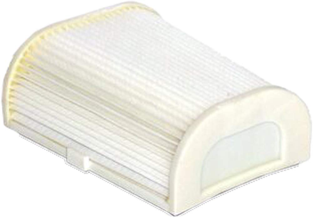 Hiflofiltro Hfa4702 Premium Oem Replacement Air Filter, Single