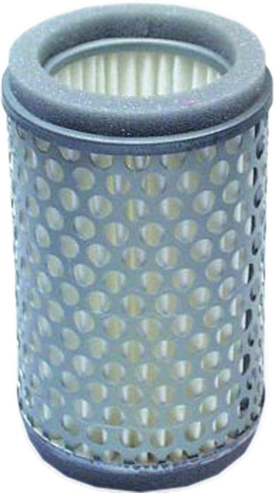 Hiflofiltro Hfa2403 Premium Oe Replacement Air Filter