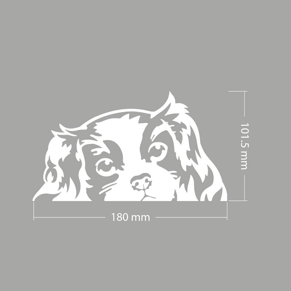 Wirester 6 Inch Clear Vinyl Decal Sticker Decoration For Car Window (Or Any Flat Surface) - Cavalier King Charles Spaniels Dog