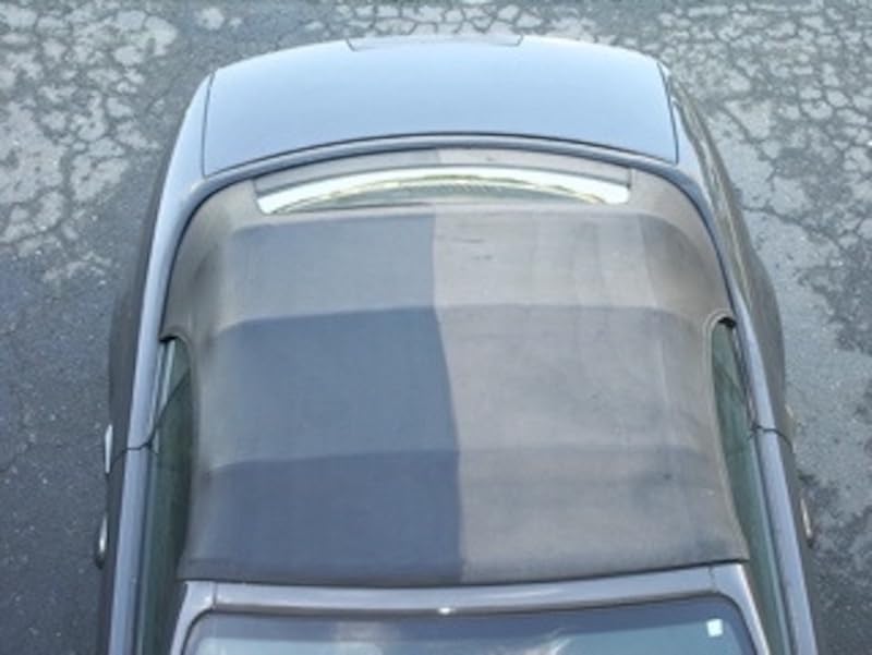 Forever Car Care Products FB813 Black Top Gel & Foam Applicator - 8 Fl Oz, Black