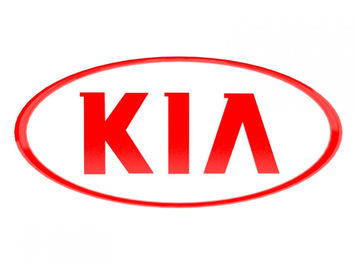 Kia UA014-TU5014AJTA Touch-Up Paint Pen (- Inferno Red, 0.5 fl oz)