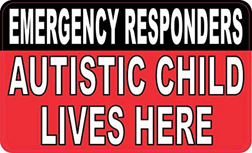 Stickertalk Autistic Child Lives Here Vinyl Sticker, 5 Inches By 3 Inches