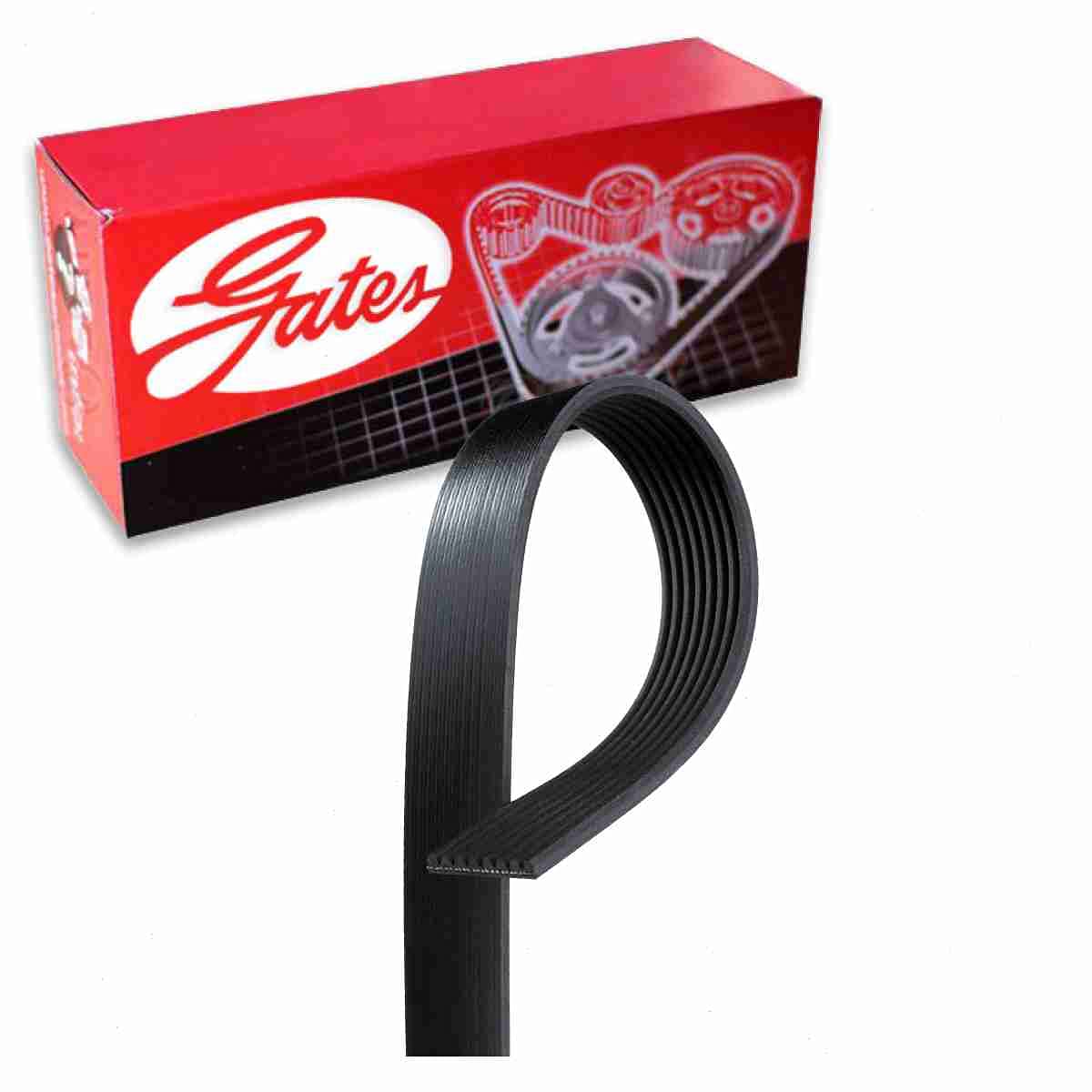 Gates Micro-V Serpentine Belt compatible with Ford F-250 Super Duty 7.3L V8 1999-2003