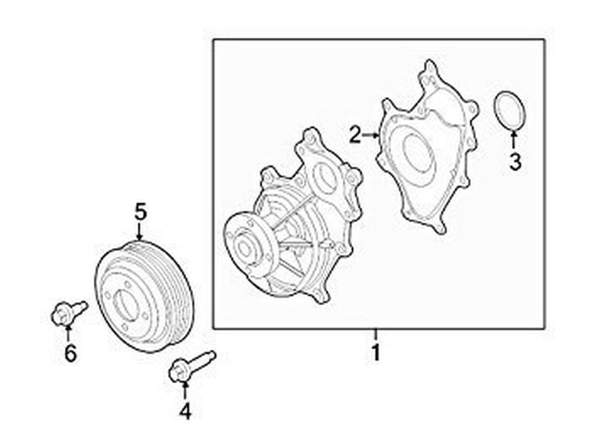 Ford Gasket - Water