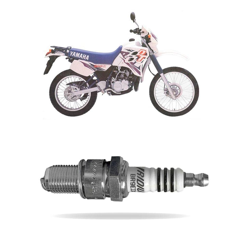 Ngk 3981 Spark Plug
