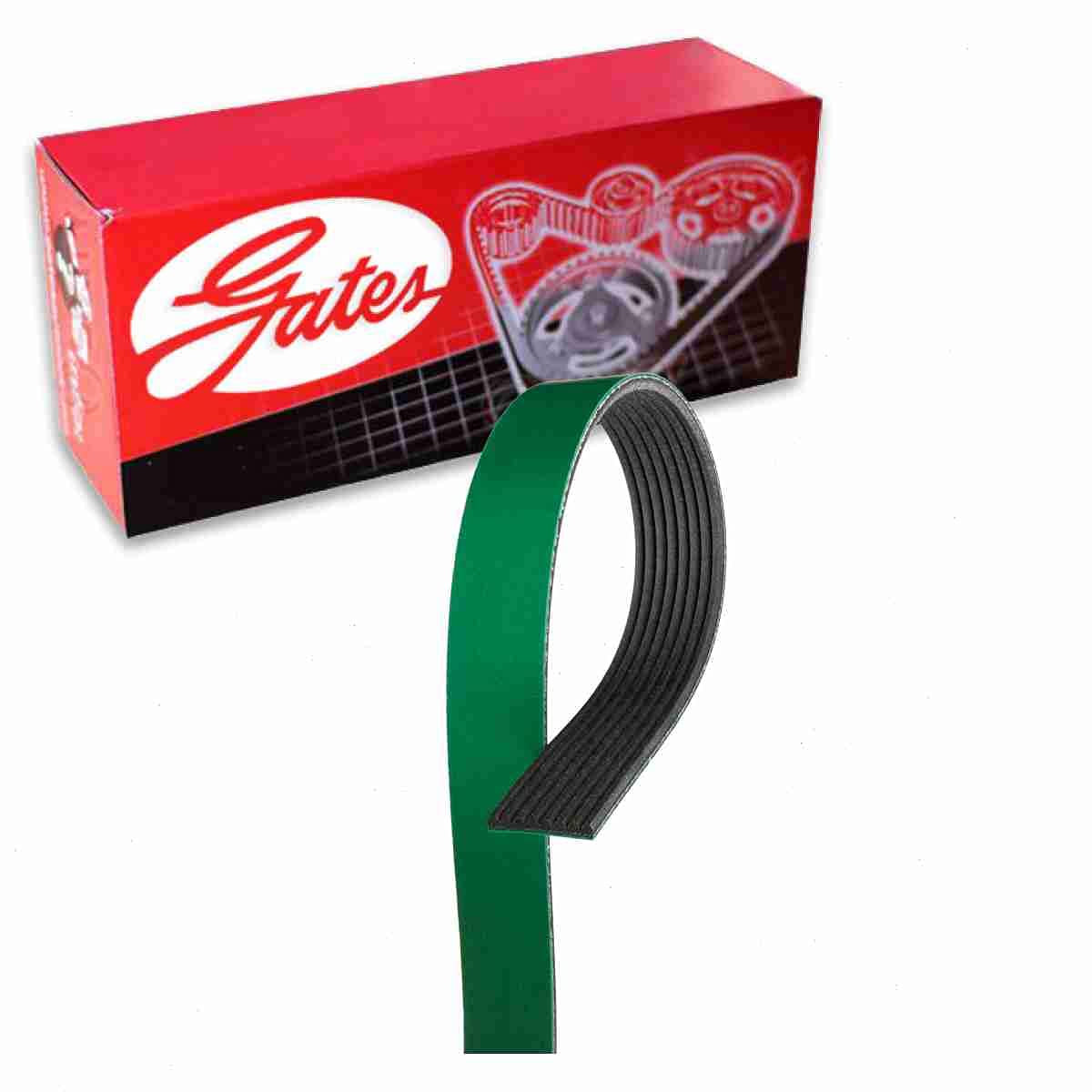 Gates FleetRunner Micro-V Serpentine Belt compatible with Ford F-250 Super Duty 7.3L V8 1999-2003