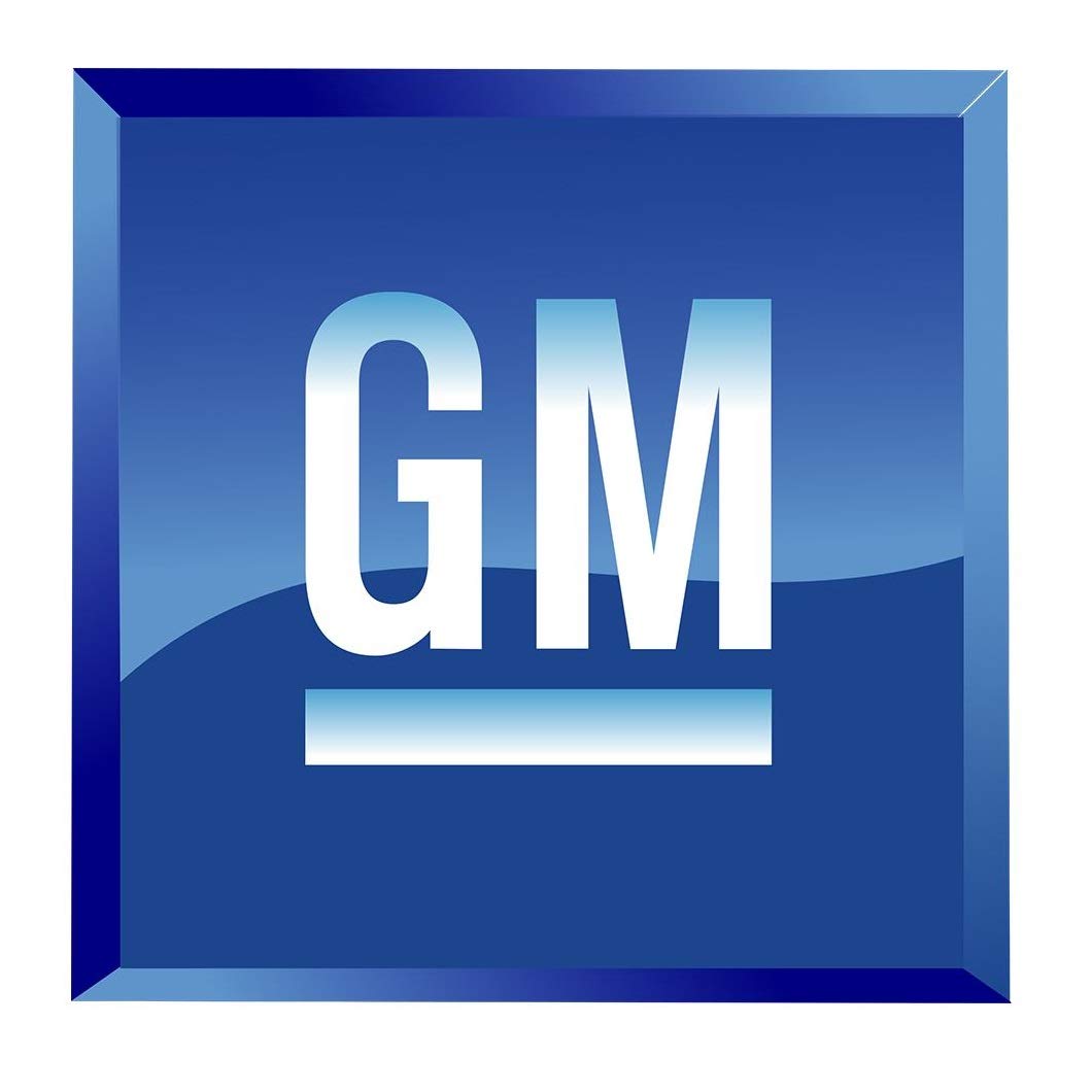 Genuine GM Accessories 20941825 220V Battery Charger