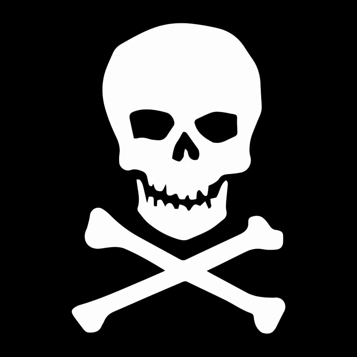 EvolveFISH Skull & Crossbones Weatherproof Vinyl Decal - [White][5']