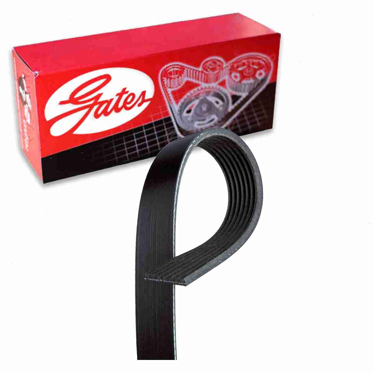 Gates Micro-V Serpentine Belt compatible with Nissan Frontier 4.0L V6 2005-2018