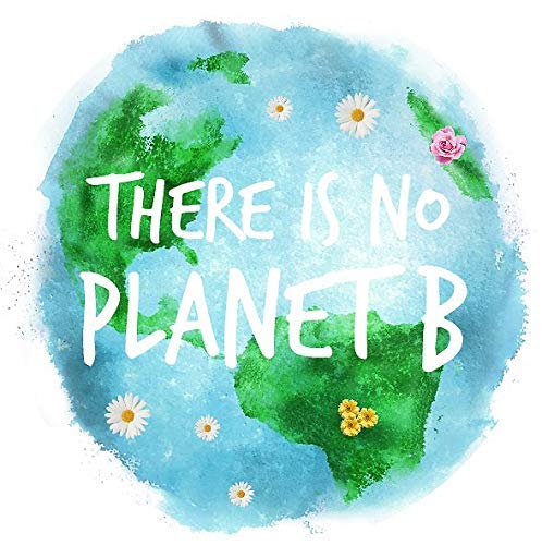 Save Planet Earth Sticker Decal Window Bumper Sticker Vinyl 5'