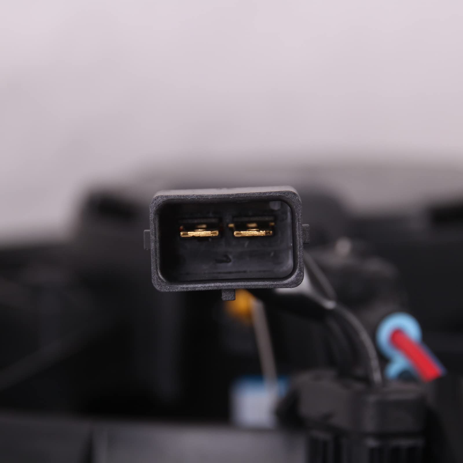 TYG OE Replacement(CAPA Quality) Cooling Fan Extra Silent for 2003-2004 Ford Focus 2.0L DOHC Sedan / 2003-2004 2.0L DOHC Wagon /