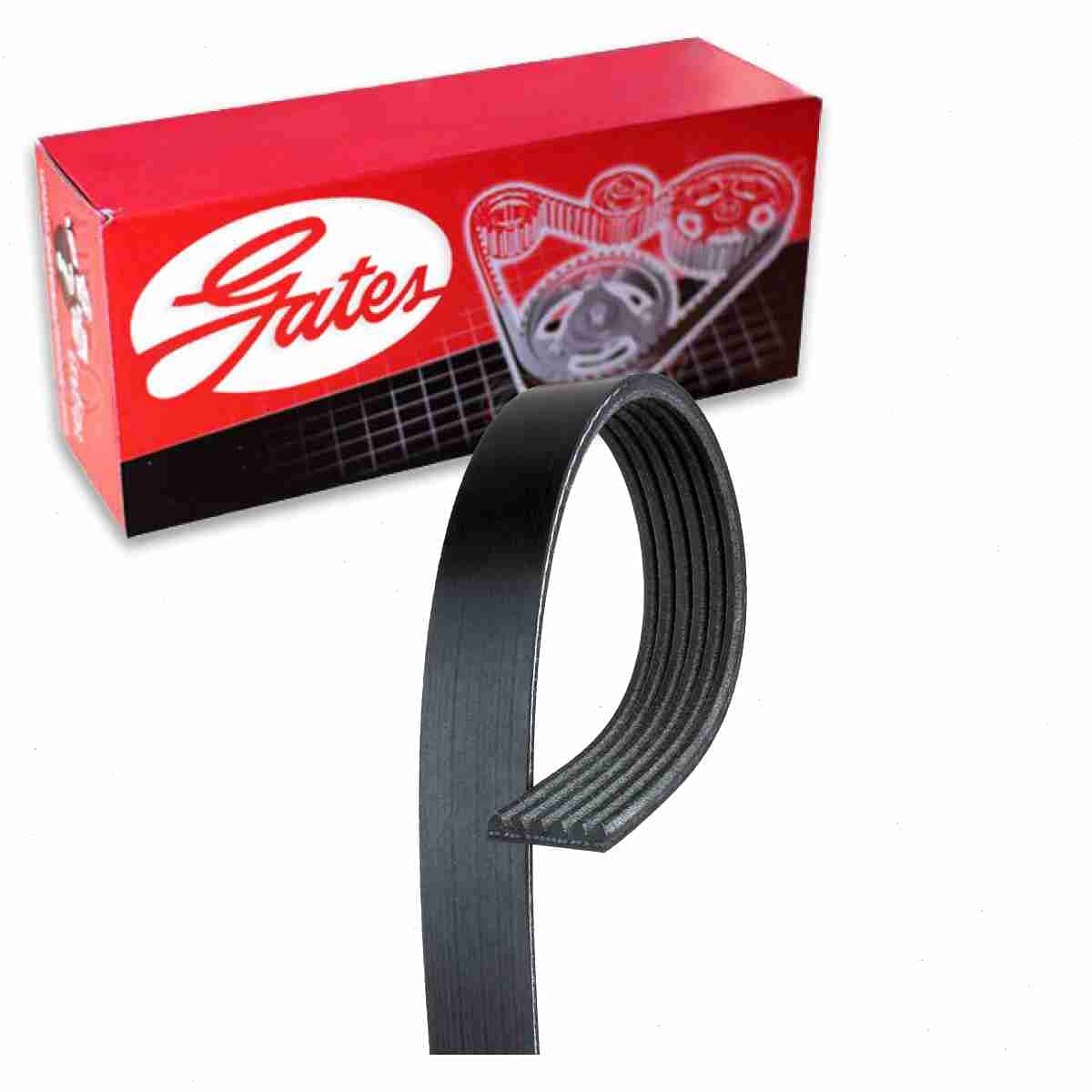 Gates Micro-V Serpentine Belt compatible with Jeep TJ 2.5L 4.0L L4 L6 1997-2002