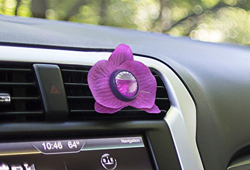 ARM & HAMMER AH8800TO Vent Clip Air Freshener, Tahiti Orchid, 1 Pack
