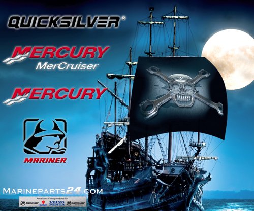 Mercury Dipstick