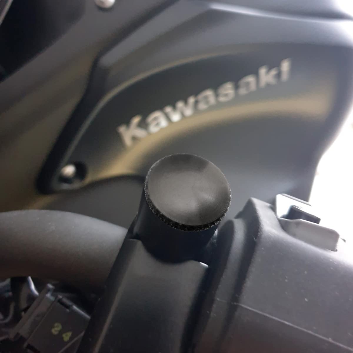 Evermotor 2Pcs Universal Motorcycle M8 6065-T6 Cnc Aluminum Anodic Oxidation Motorcycle Mirror Blind Plug Covering Screws Thread Blanking Mirror Hole Plugs Hole Caps With Embossing A