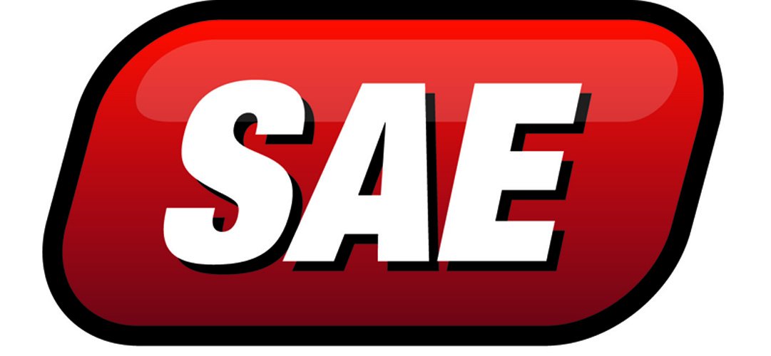 Performance Tool W54258 1/4-Inch NPT Straight Grease Fitting, 10 Pack