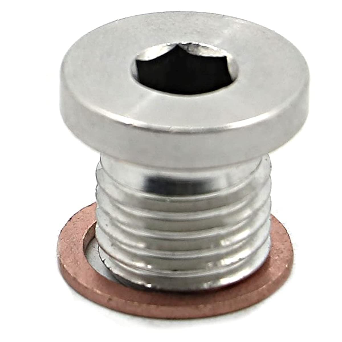 Alpha Rider Crankcase Engine Oil Drain Plug And Washer For Polaris Rzr 570 800 900 1000, Sportsman 570 600 700 800 850 1000, Ran