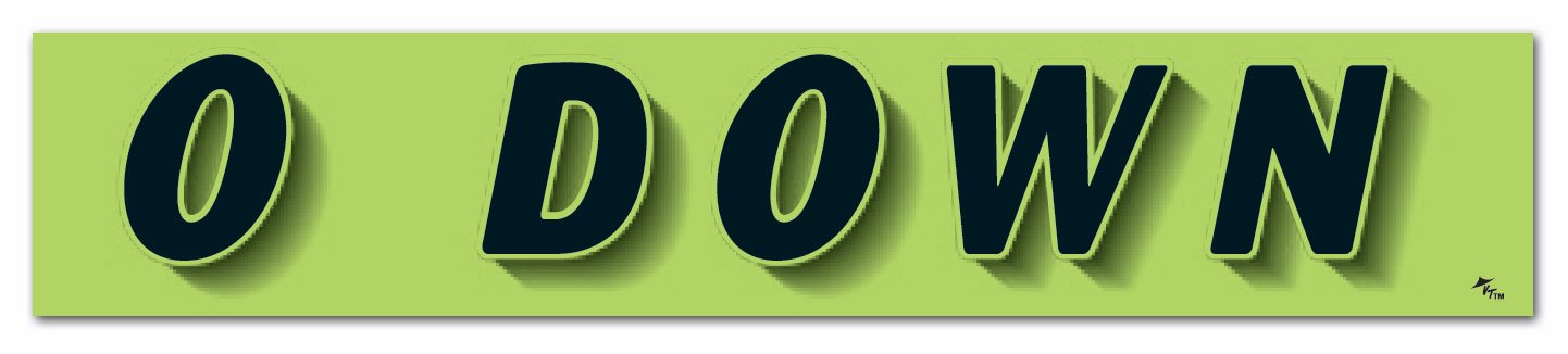 Vinyl Highlights Windshield Slogans Window Stickers (Black Text On Fluorescent Green) (14-1/2 x 2-3/4) (12 per Pack) (0 Down)
