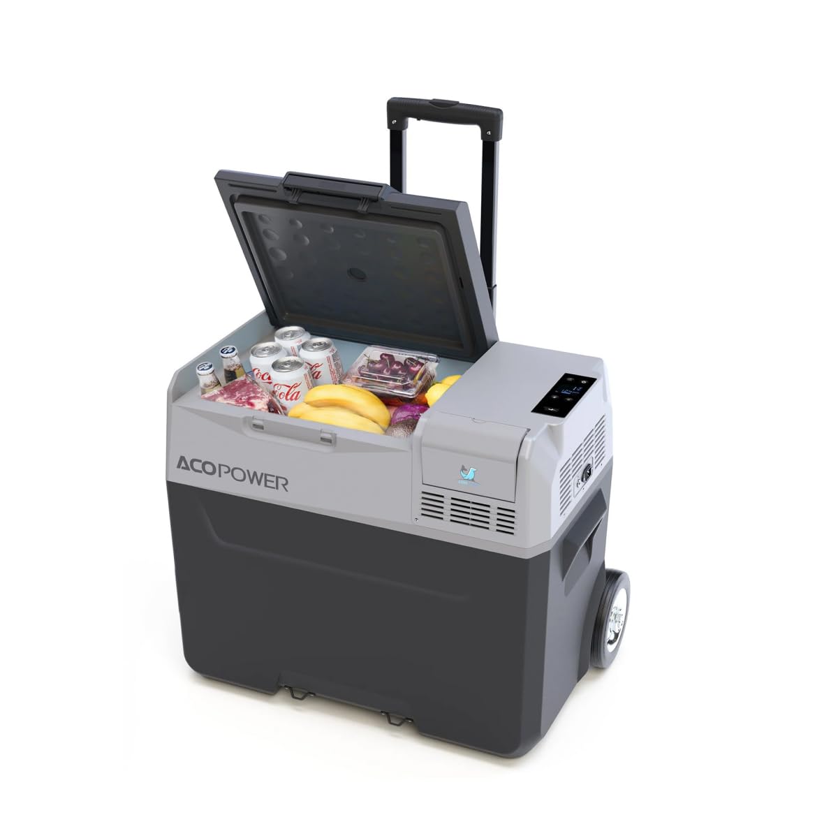 LiONCooler Pro 42Qts Car Freezer, Solar Cooler with APP Control and Strong Compressor, -4?-68? Portable Refrigerator for Camping