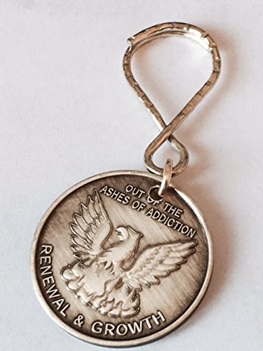 Out Of The Ashes Of Addiction Renewal Growth Phoenix Serenity Prayer Aa Recovery Keytag Keychain Bronze Key Chain 1.25