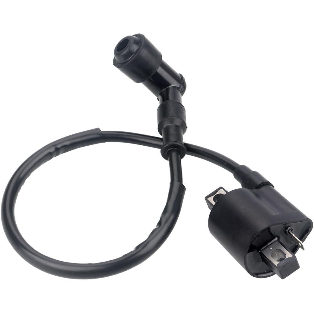 Ignition Coil For 50Cc 90Cc 110Cc 125Cc 150Cc 200Cc 250Cc Atv Quad Dirt Pit Bike Scooter Buggy Motorcycle Go Kart