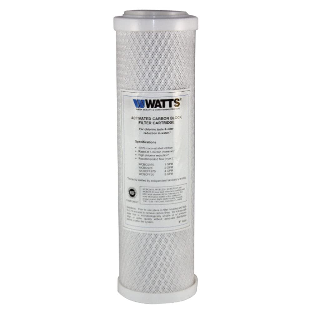 Flowpur/Watts Wcbcs-975Rv Rv Trailer Camper Exterior Canister Single Replacement Filter (6)