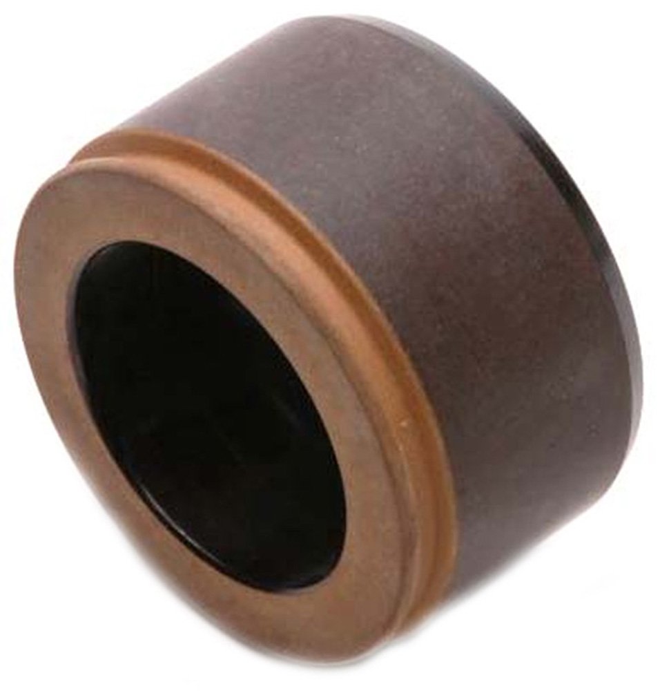 Raybestos DP85020 Professional Grade Disc Brake Caliper Piston