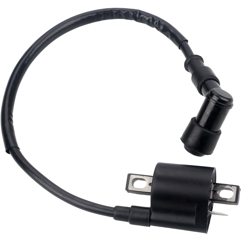Ignition Coil For 50Cc 90Cc 110Cc 125Cc 150Cc 200Cc 250Cc Atv Quad Dirt Pit Bike Scooter Buggy Motorcycle Go Kart