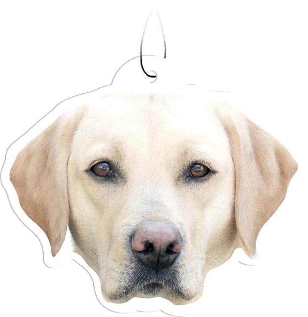 Spoontiques Yellow Lab Air Freshener
