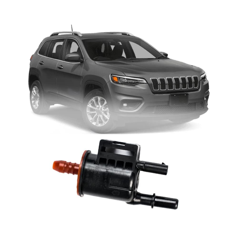 Riloer Vapor Canister Purge Valve Solenoid Compatible With Chrysler 200 Compatible With Dodge Dart Compatible With Fiat 500 500X Compatible With Jeep Cherokee Compass Renegade Ram Promaster City