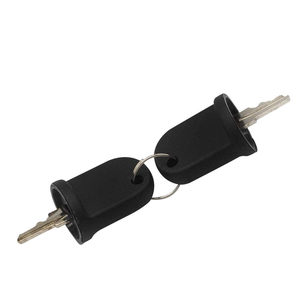 Drive-Up Ignition Key Switch W/2 Keys For Ezgo Electric Rxv 2008-Up Oem 605637 605946 609680 (Set Of 2 Keys)