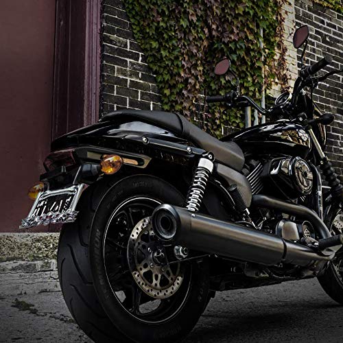 Httmt- Mt294-006-Cd- Cruiser Accessories Skull & Flame Motorcycle License Plate Frame (Chrome) Durable And Long Lasting.