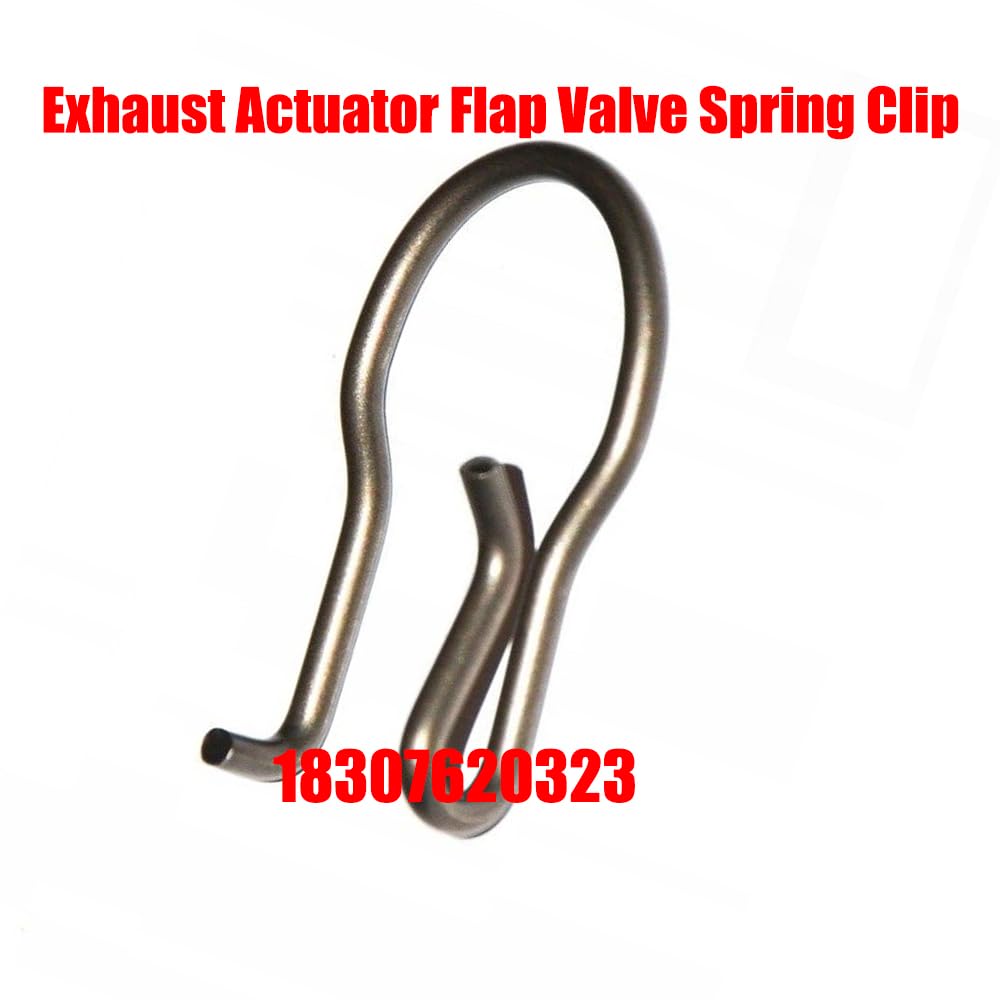 Exhaust Control Valve Actuator Fixing Clip Compatible with BMW 1 2 3 4 5 series 18307620323