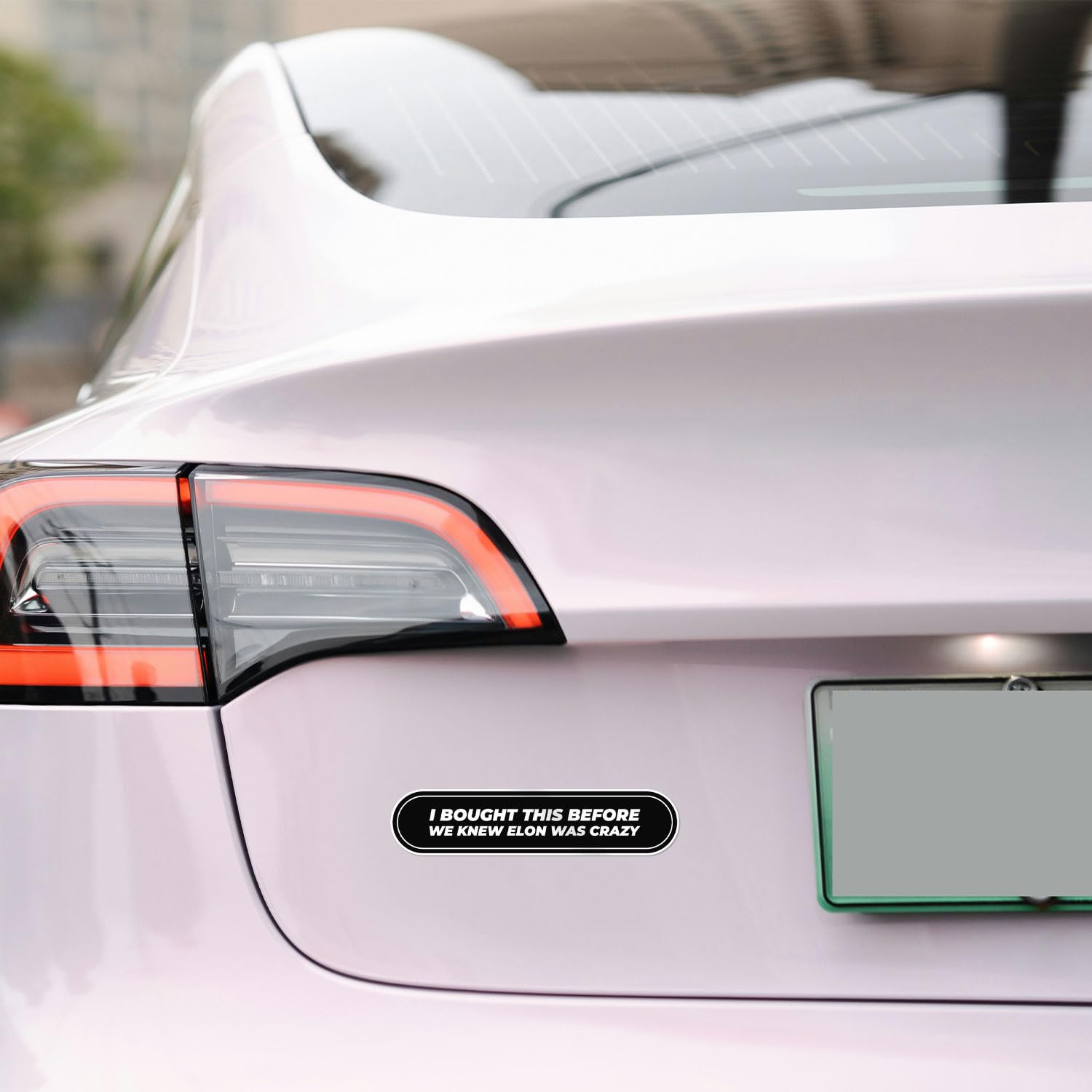 I Bought This Before We Knew Elon Was Crazy Sticker - Waterproof Vinyl Decal For Car Bumper, Laptop, Water Bottle, Bookcase, Wal