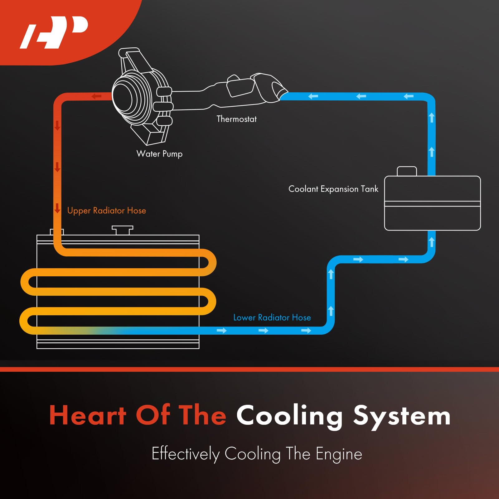 A-Premium Upper Radiator Coolant Hose Compatible with BMW E82 1 Series M 2011, E82/E88 135i 2008-2013, 335i 2007-2011, X1 E84 2010-2015, Z4 E89 2009-2016, L6 3.0L, Replace# 17127540127