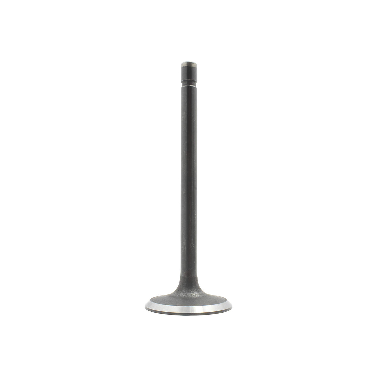 Dnj Iv4113 Intake Valve For 1975-2001 / Ford, Lincoln, Mercury/Bronco, Capri, Colony Park, Continental, Cougar, Country Squire, 
