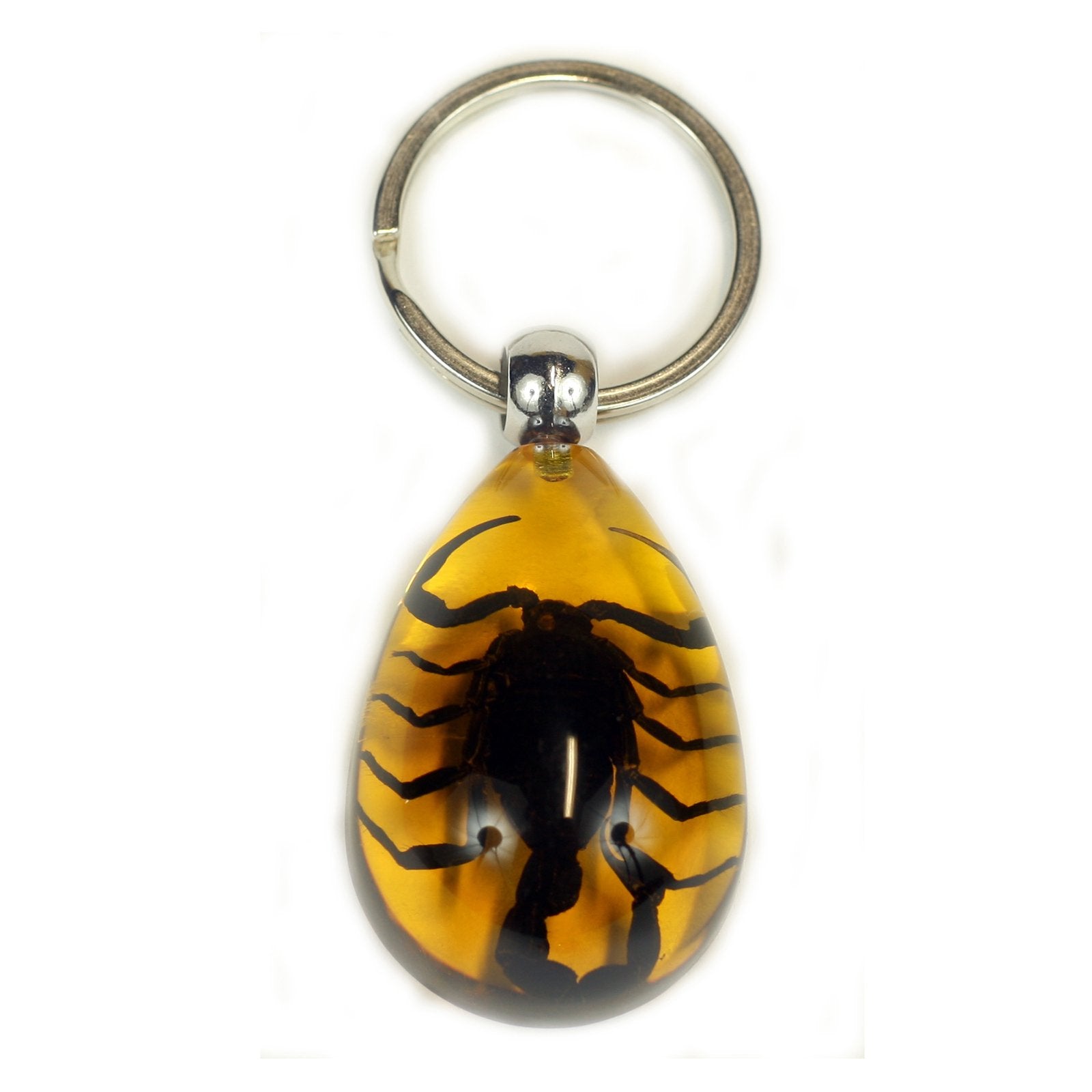 Black Scorpion Key Chain Tear Drop Amber