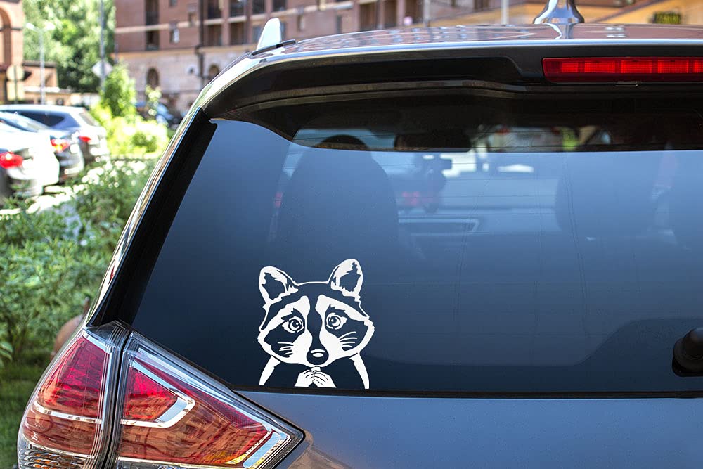 Wirester 6 Inch Clear Vinyl Decal Sticker Decoration For Car Window (Or Any Flat Surface) - Common Raccoon