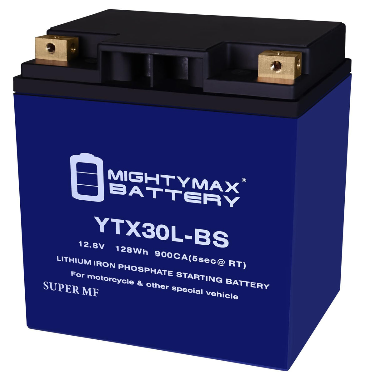 Mighty Max Battery Ytx30L-Bs Lithium Replacement Battery Compatible With Harley Davidson Road Glide, Road King